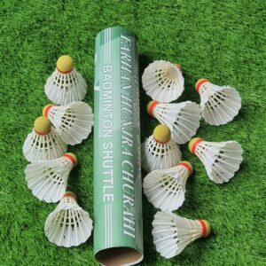 Winged Shuttle Super Power